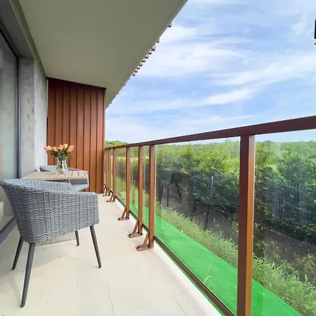 Sun Premium Class By Ms Pro * コウォブジェク